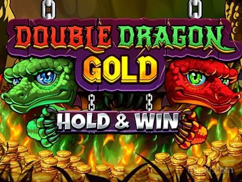 Double Dragon Gold_ Hold and Win